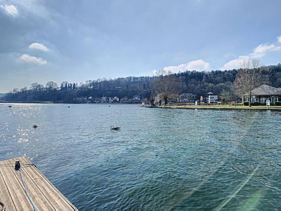 Vue Sur Meuse Avec Jacuzzi Et Sauna Exterieur. Yvoir エクステリア 写真