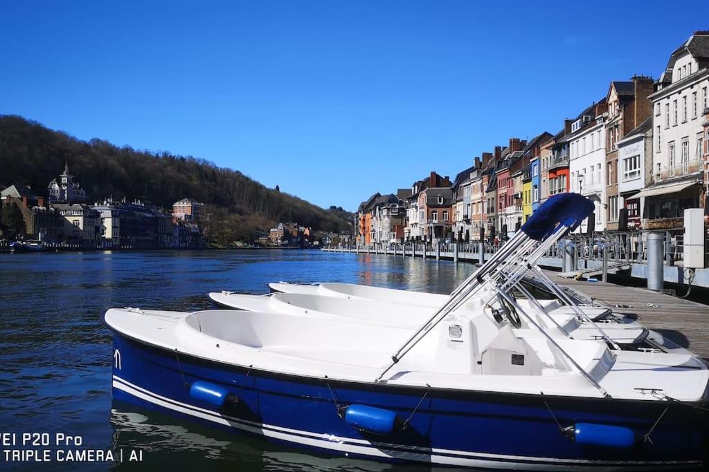 Vue Sur Meuse Avec Jacuzzi Et Sauna Exterieur. Yvoir エクステリア 写真
